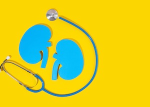 The Future of Kidney Care: Novel Treatments and New Initiatives